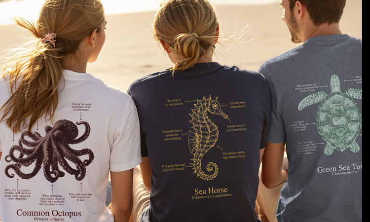 Camiseta unisex 100% algodón