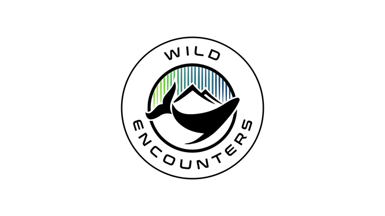 WILDENCOUNTERS - Born to be wild