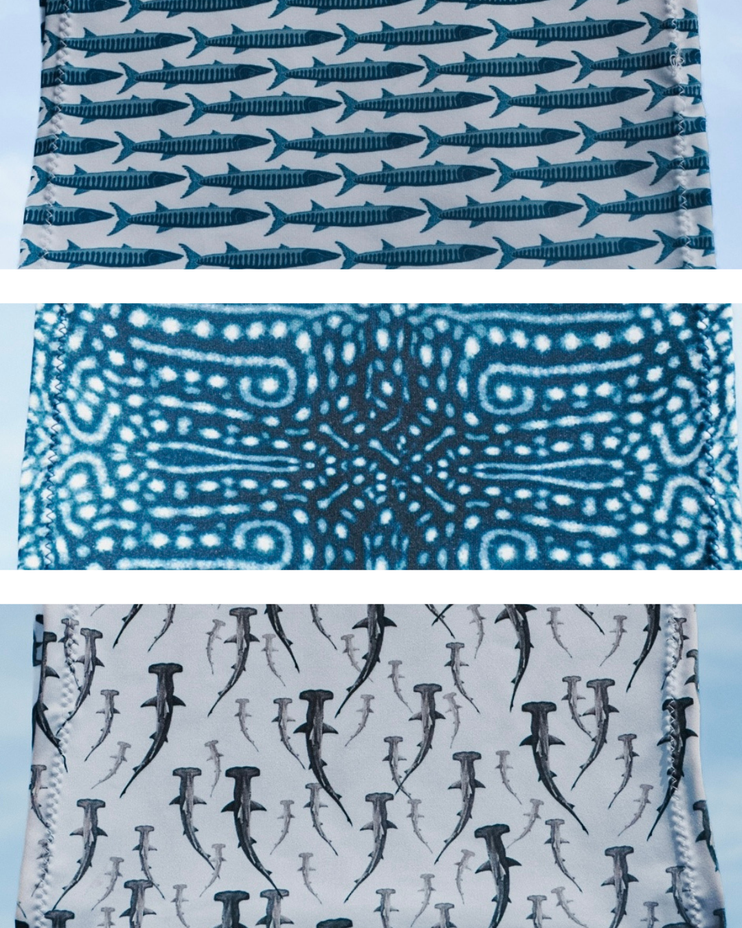 PACK 3 cintas para el pelo: Barracuda, Tiburón Martillo, Tiburón Ballena