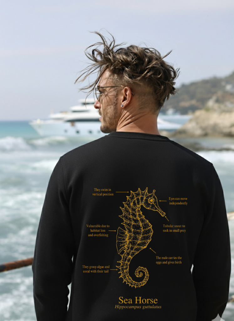 Sudadera premium - Caballito de mar