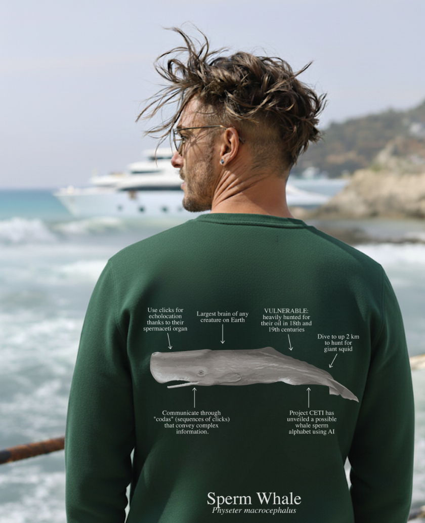 Sudadera premium Cachalote - colores oscuros