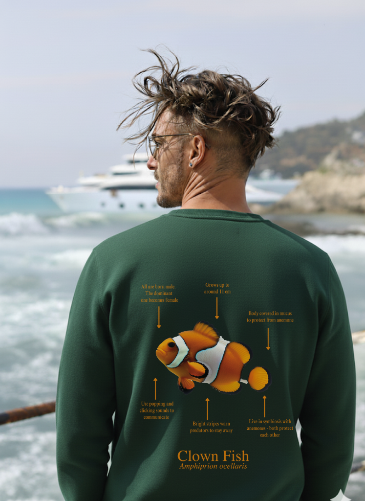 Sudadera premium Pez Payaso