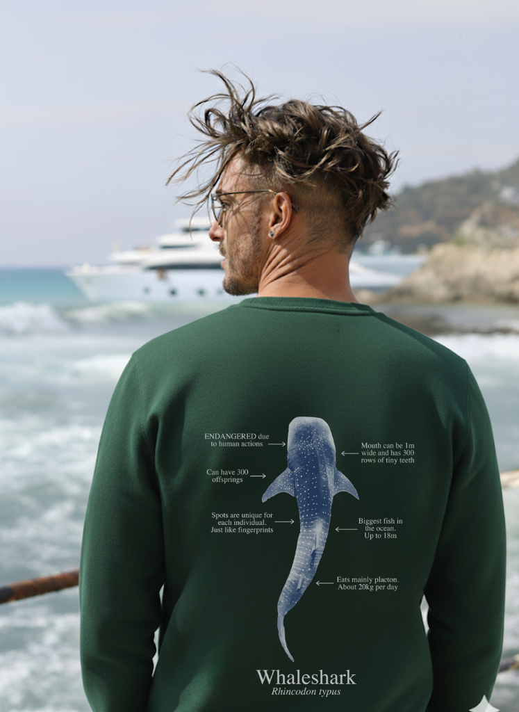 Sudadera premium Tiburón ballena colores oscuros