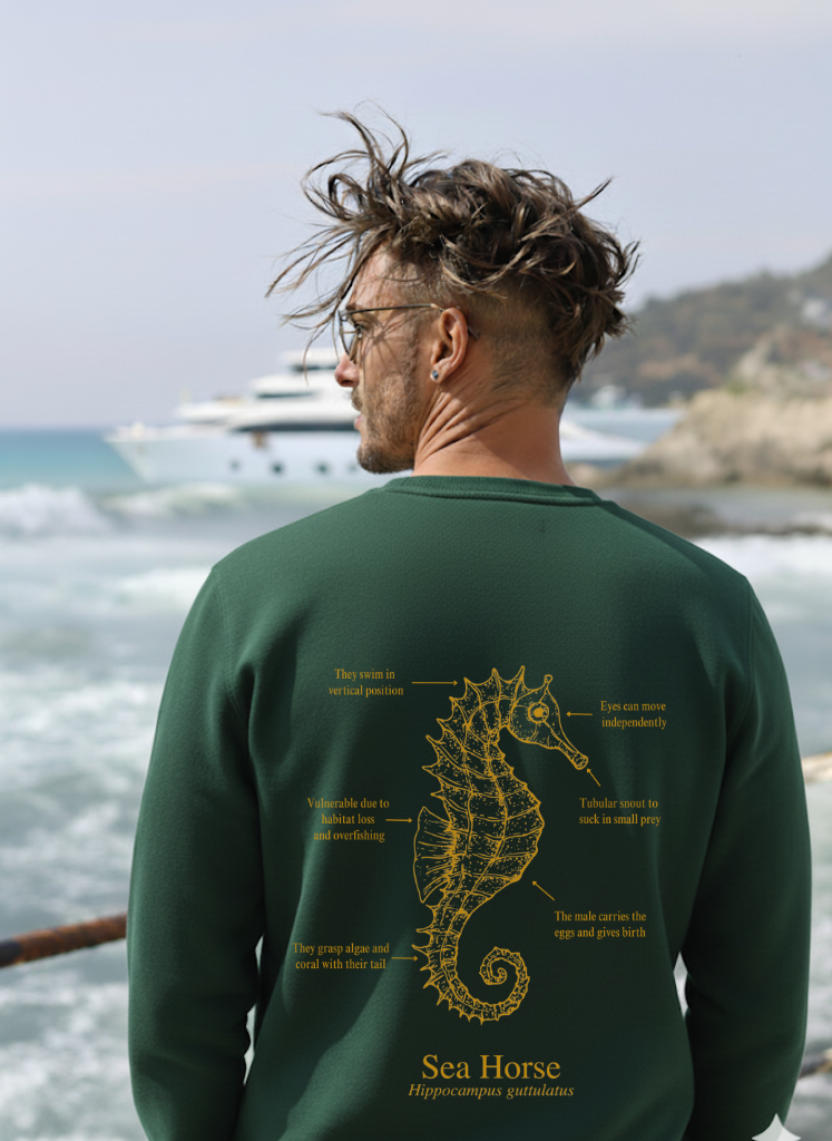 Sudadera premium - Caballito de mar