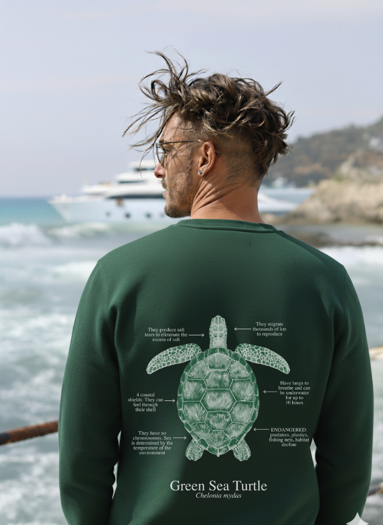 Sudadera premium Tortuga colores oscuros