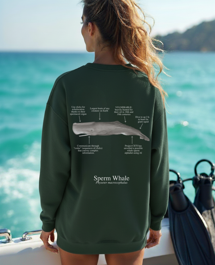 Sudadera premium Cachalote - colores oscuros