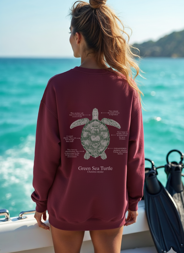 Sudadera premium Tortuga colores oscuros