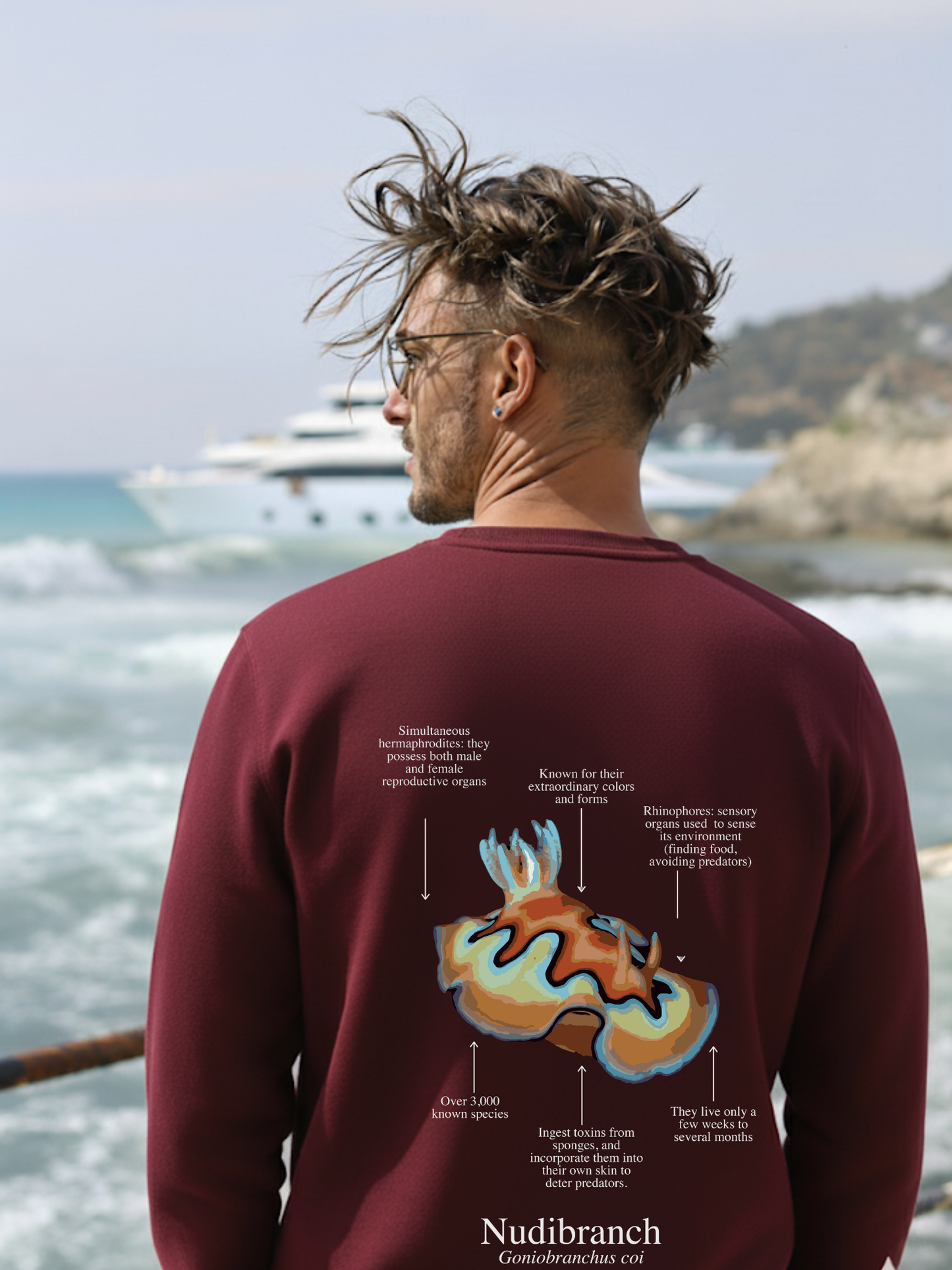 Sudadera premium Nudibranquio - colores oscuros