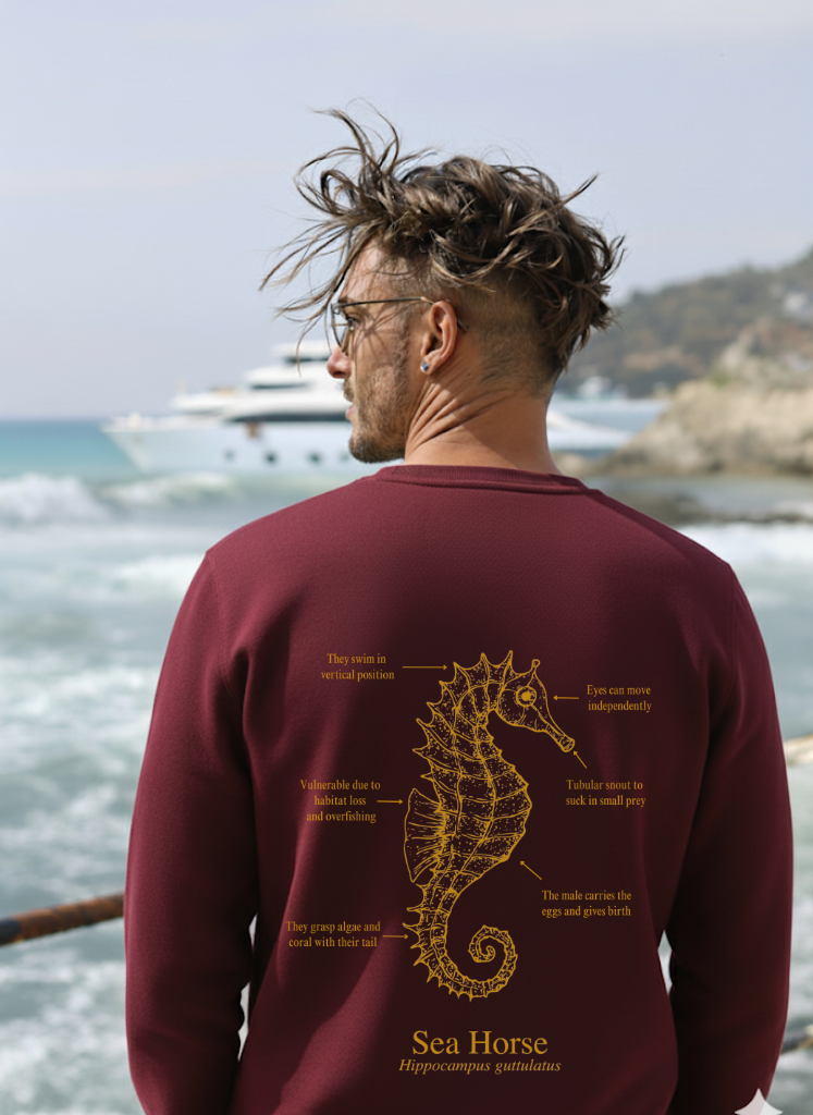 Sudadera premium - Caballito de mar