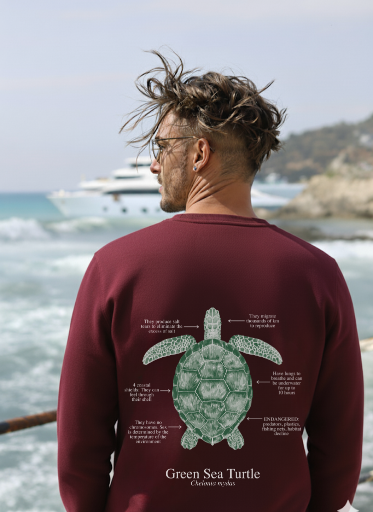 Sudadera premium Tortuga colores oscuros
