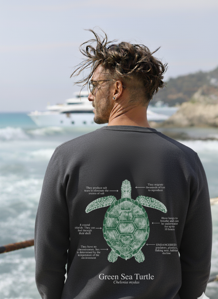 Sudadera premium Tortuga colores oscuros