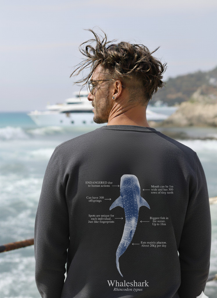 Sudadera premium Tiburón ballena colores oscuros