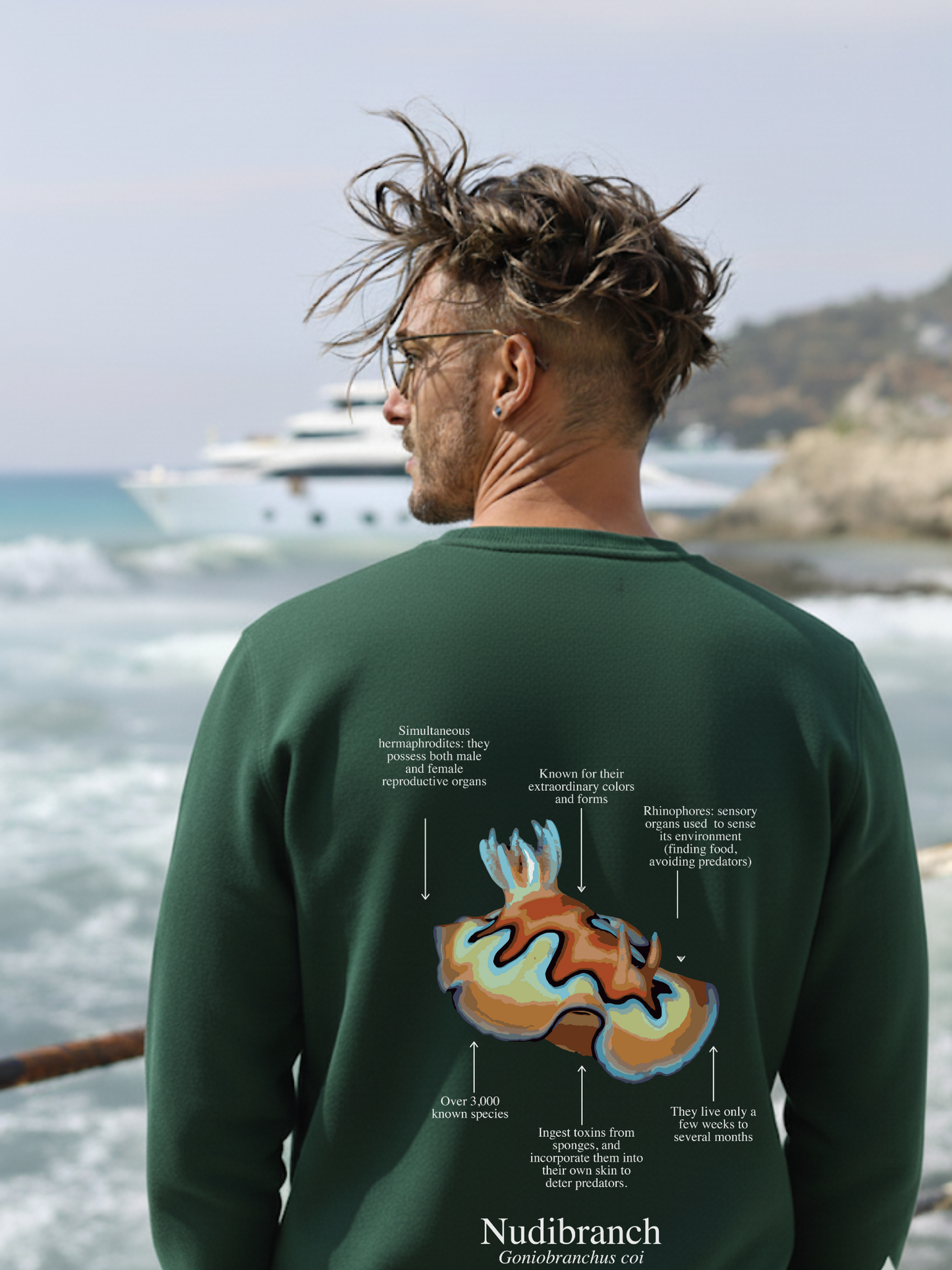 Sudadera premium Nudibranquio - colores oscuros
