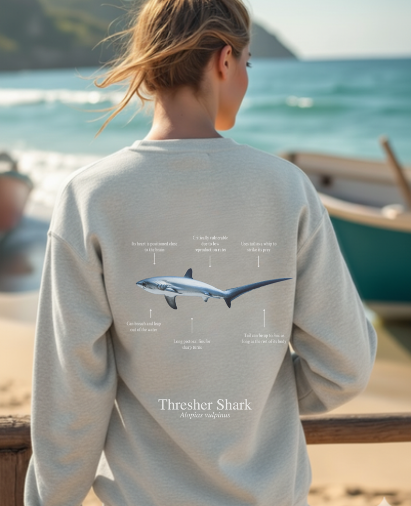 Sudadera ligera de verano ECO - Tiburón Zorro