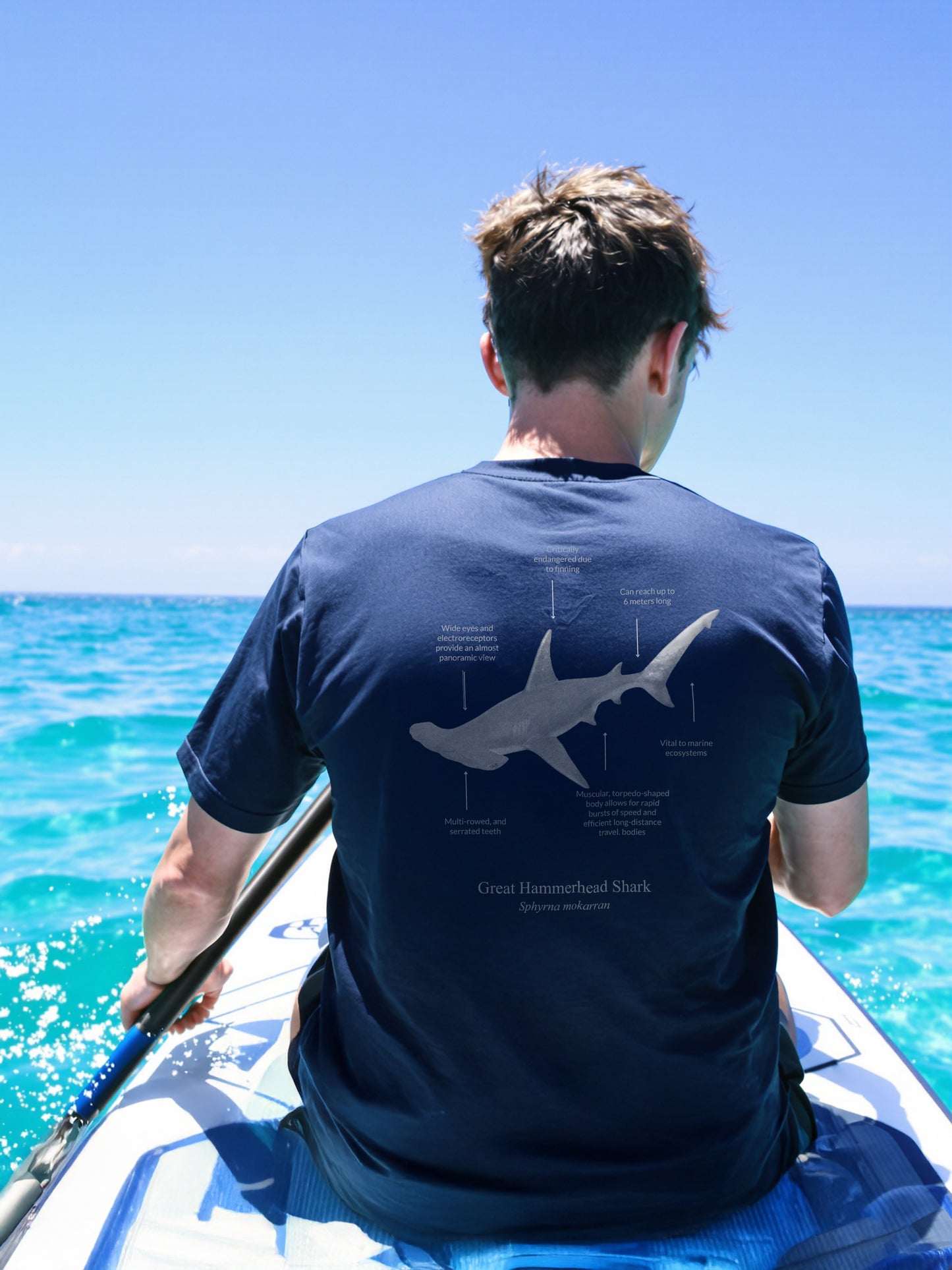 Camiseta de 100% algodón - Tiburón Martillo - colores oscuros - Unisex