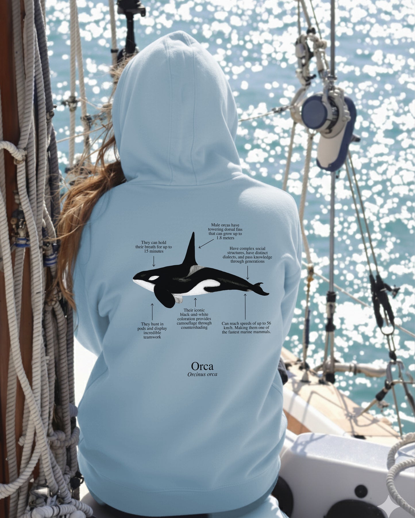 Orca Hoodie (NEW) Colores claros