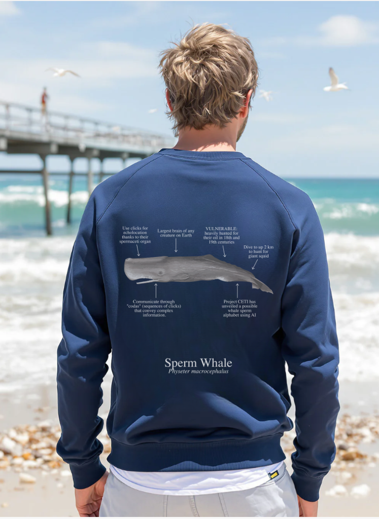 Sudadera ligera verano ECO - Cachalote