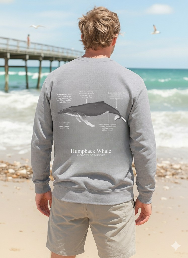 Sudadera ligera verano ECO - Ballena Jorobada