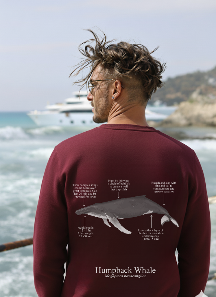 Sudadera premium Ballena Jorobada - colores oscuros