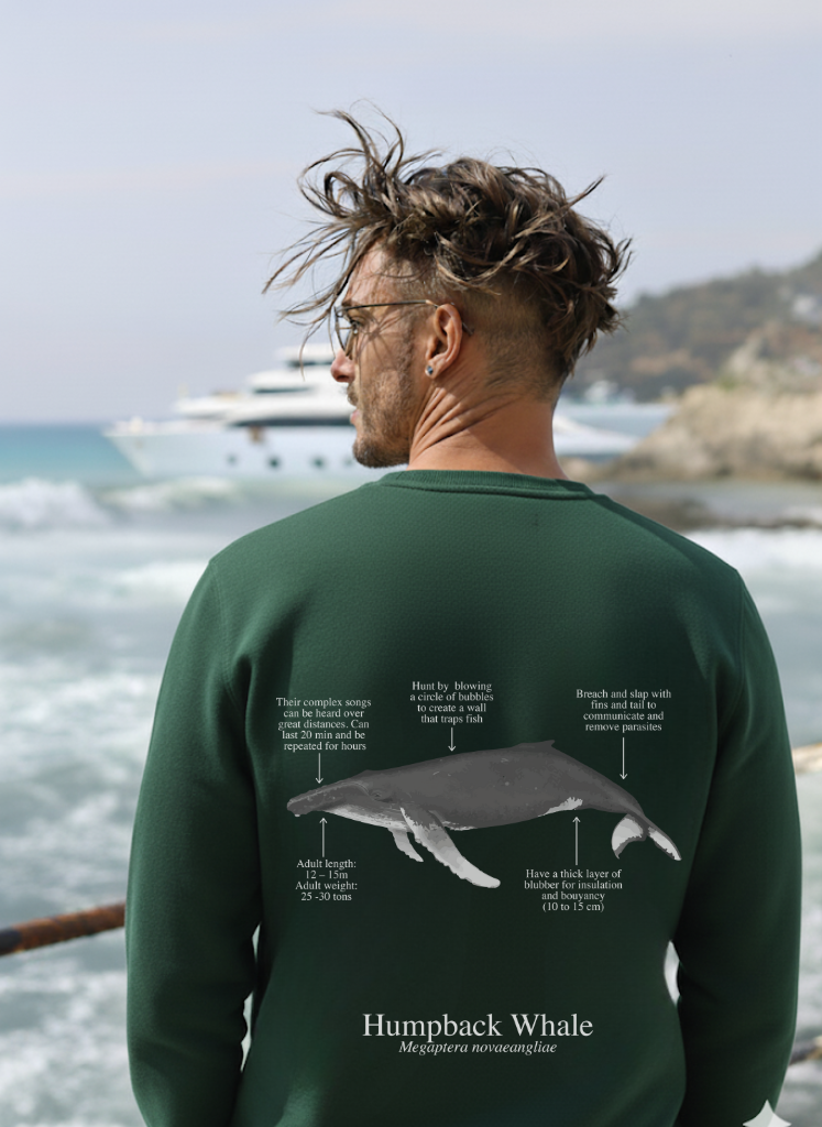 Sudadera premium Ballena Jorobada - colores oscuros