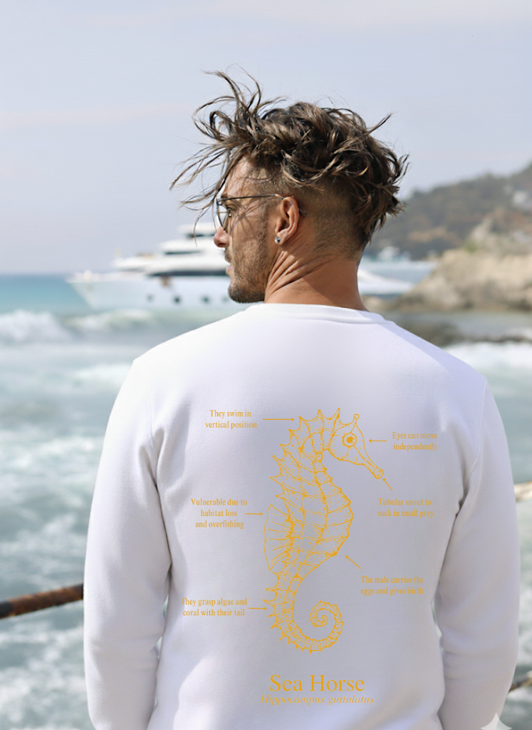 Sudadera premium - Caballito de mar