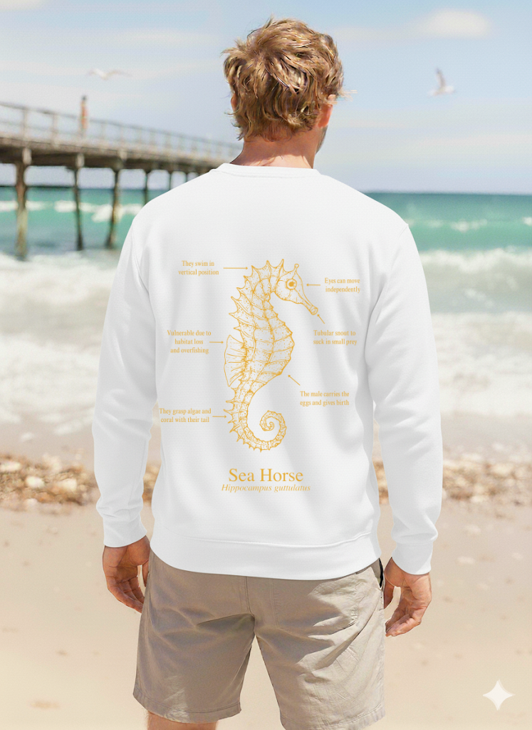 Sudadera ligera verano ECO - Caballito mar