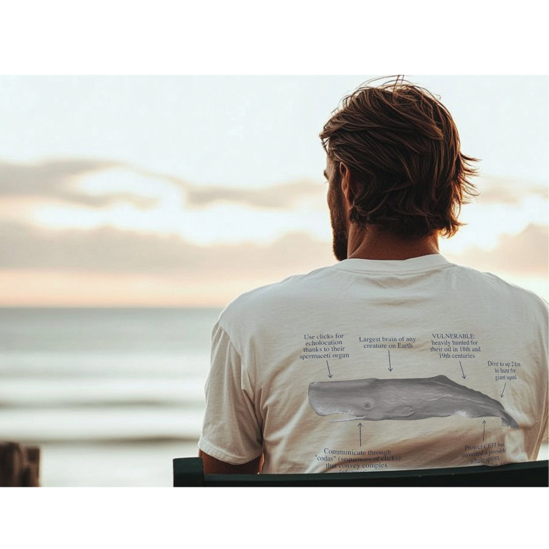 Camiseta 100% algodón Cachalote - colores claros - unisex