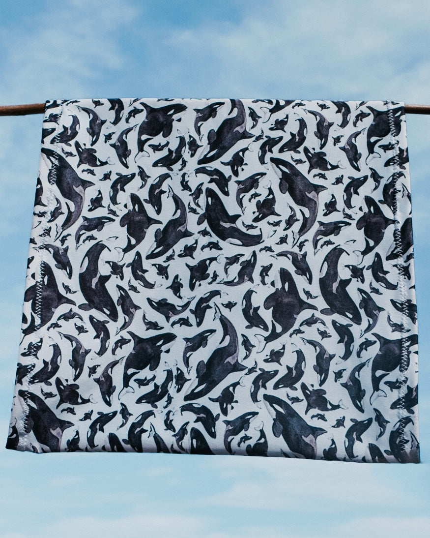Cinta para el pelo ORCA