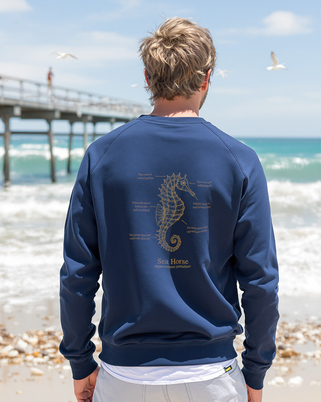Sudadera ligera verano ECO - Caballito mar