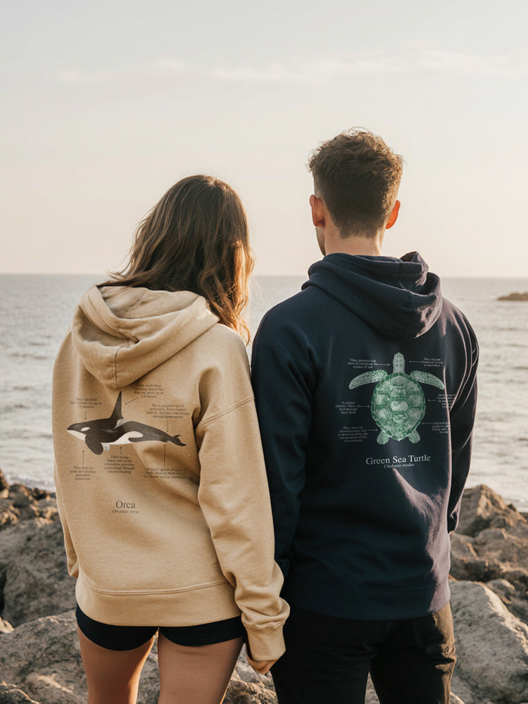 Hoodies (NEW)
