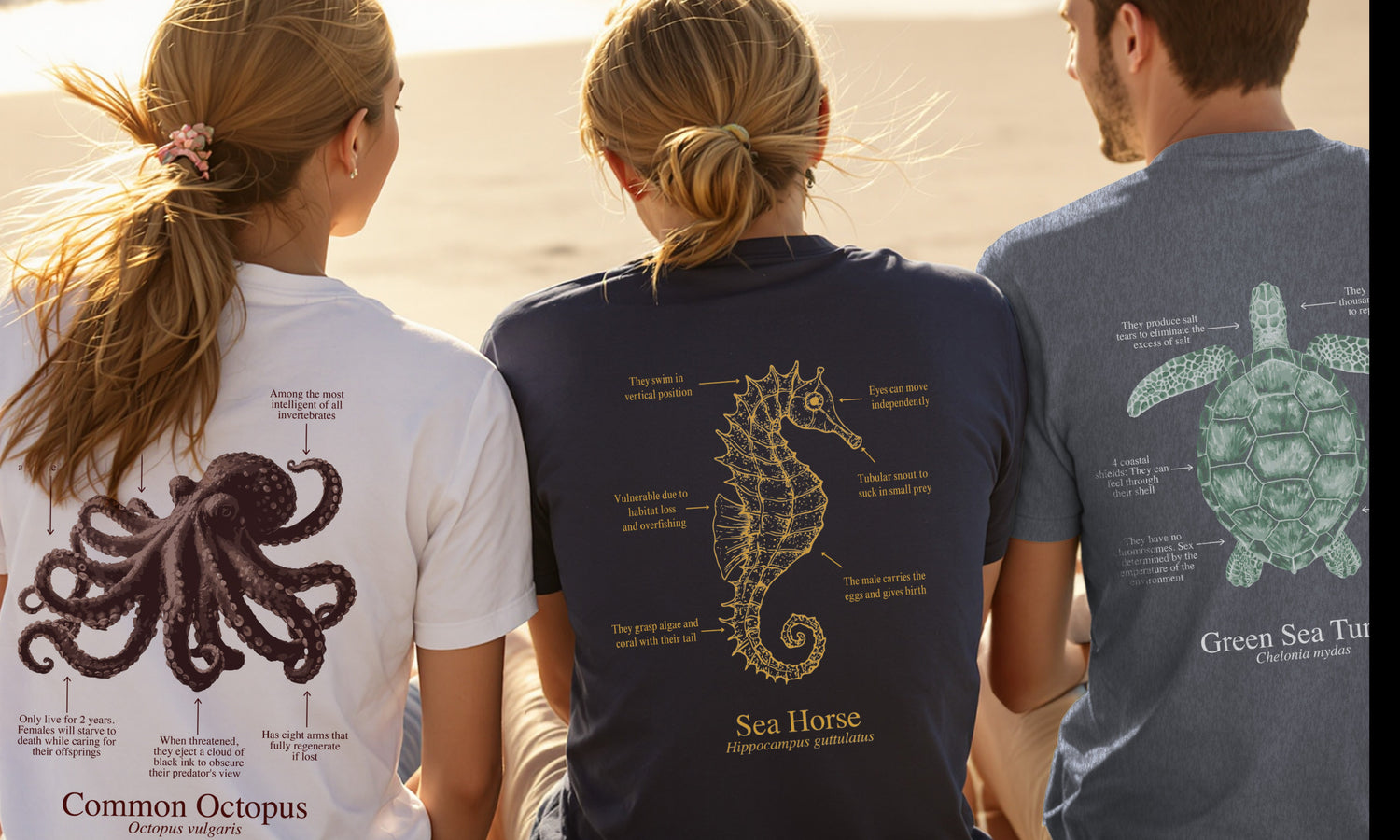 Camiseta unisex 100% algodón