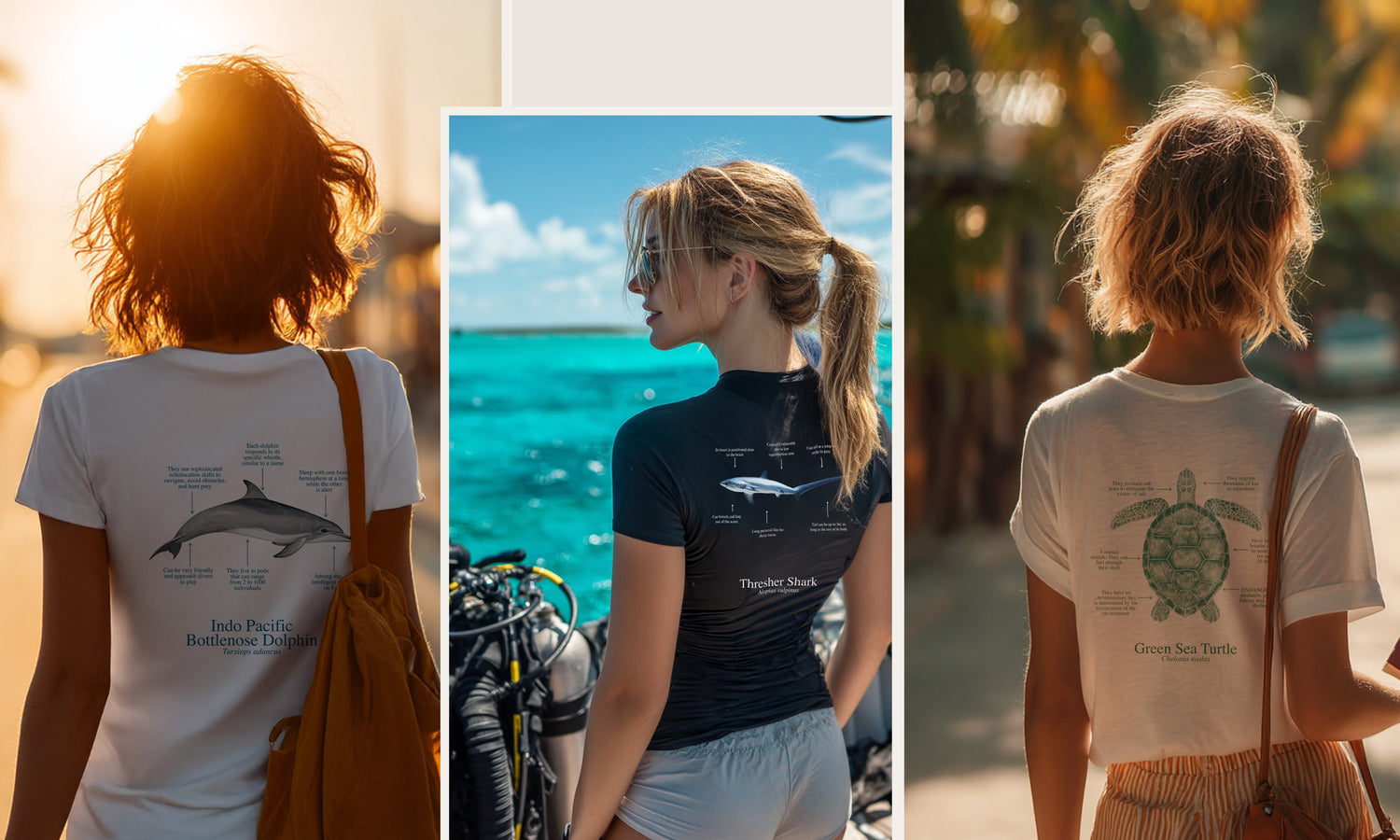 Camiseta chica cuello pico