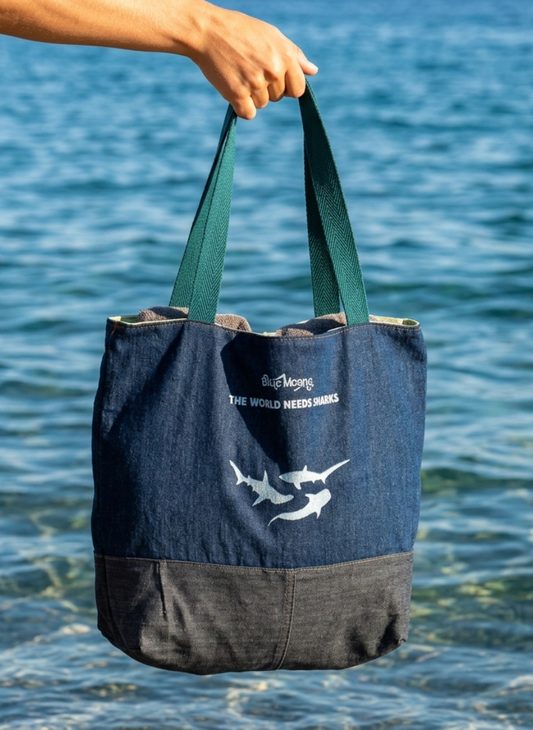Tote Bag Mozambique (17/29) Pieza única