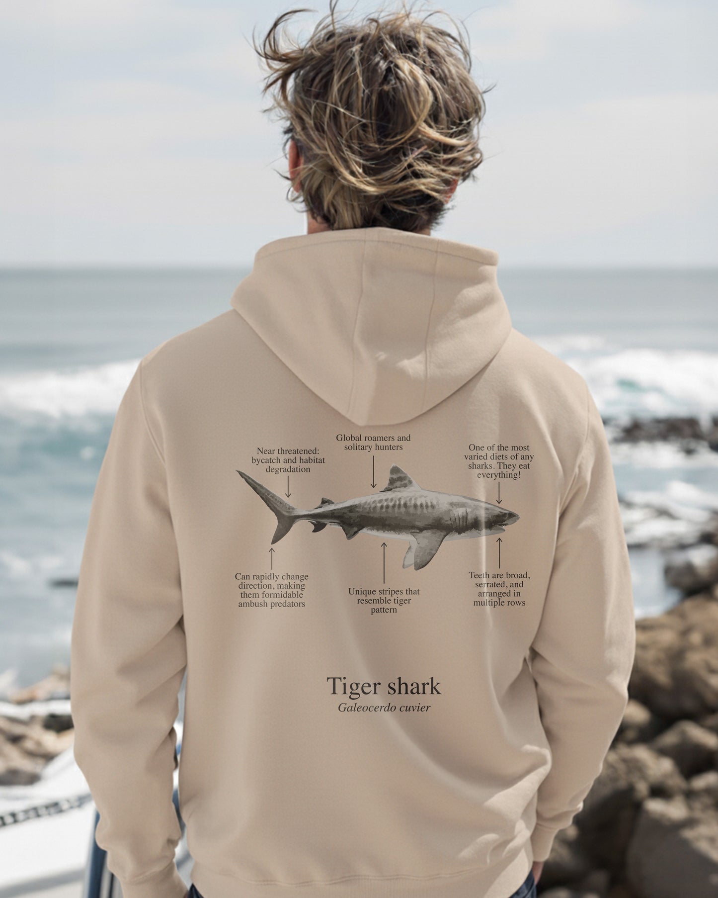 Hoodie (NEW) Tiburón Tigre