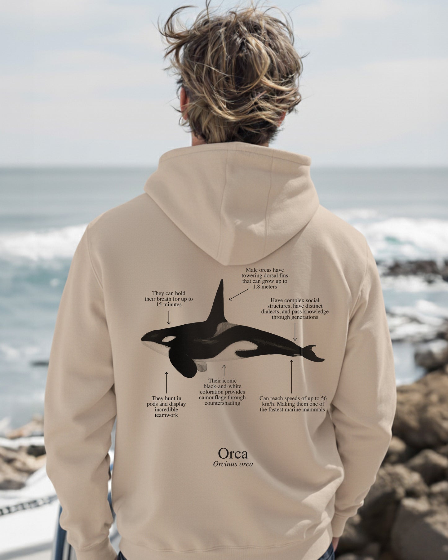 Orca Hoodie (NEW) Colores claros