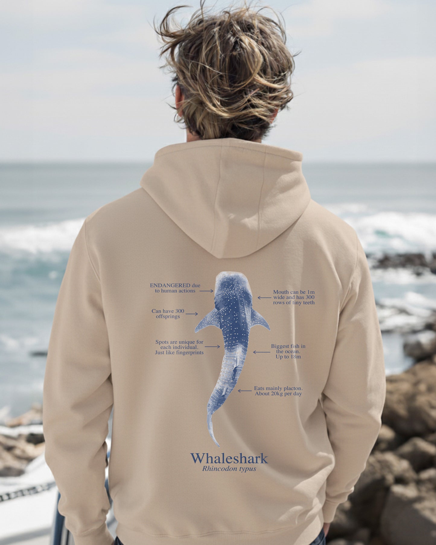 Hoodie (NEW) Tiburón Ballena colores claros