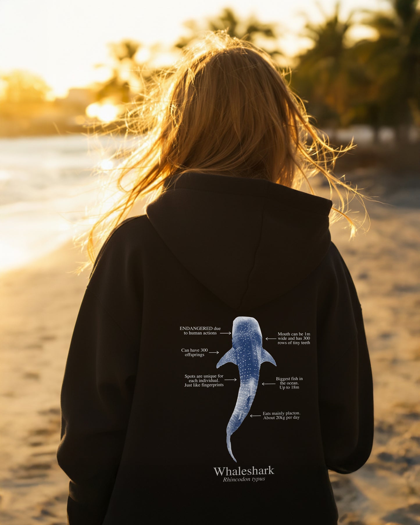 Tiburón Ballena Hoodie (NEW) Colores oscuros