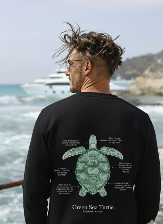 Sudadera premium Tortuga colores oscuros