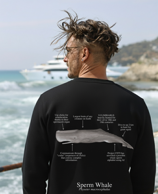 Sudadera premium Cachalote - colores oscuros