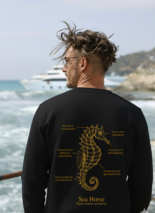 Sudadera premium - Caballito de mar