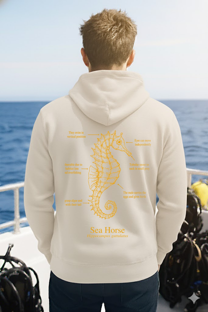 Hoodie (NEW) Caballito