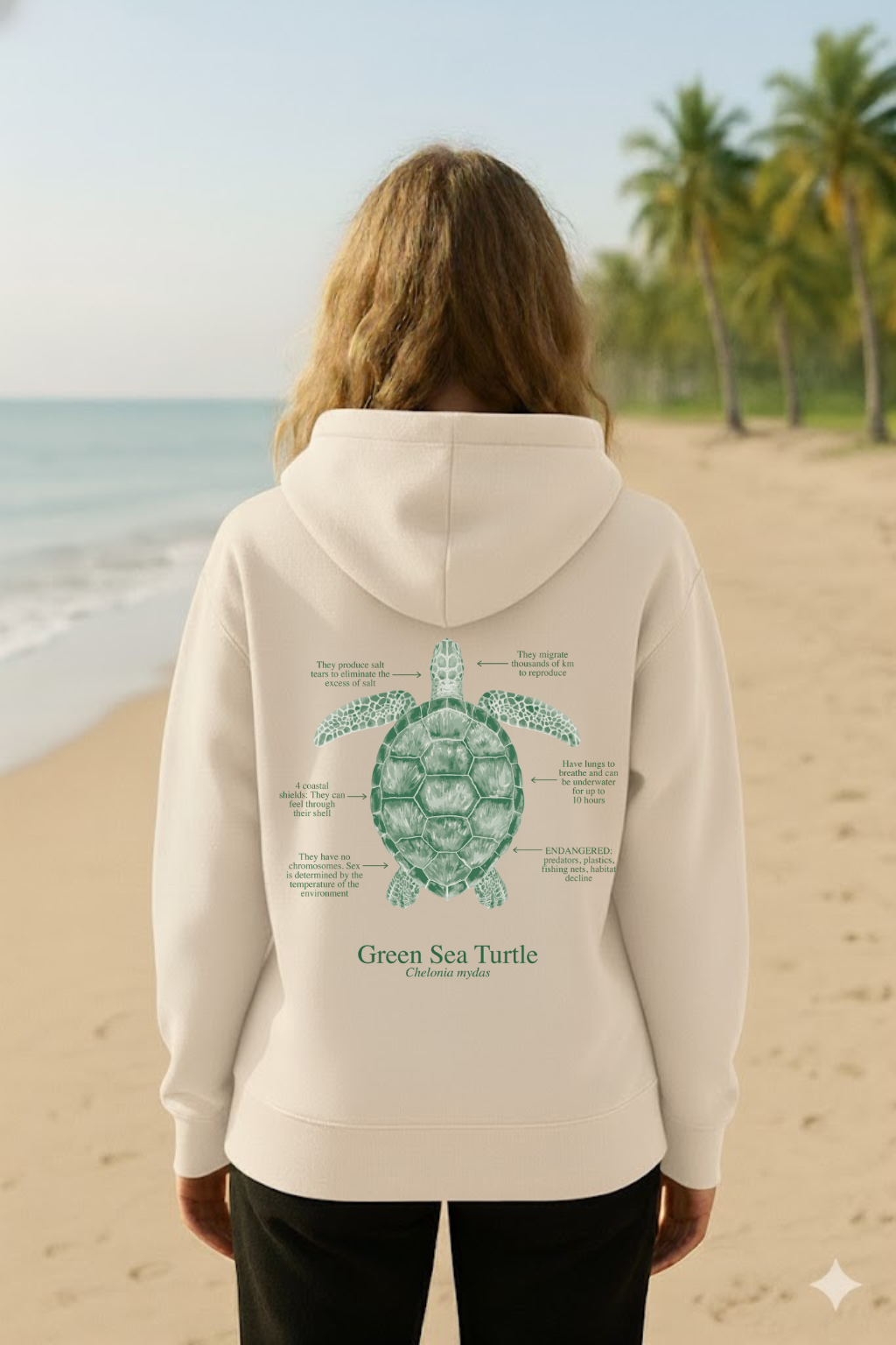Hoodie (NEW) Tortuga colores claros