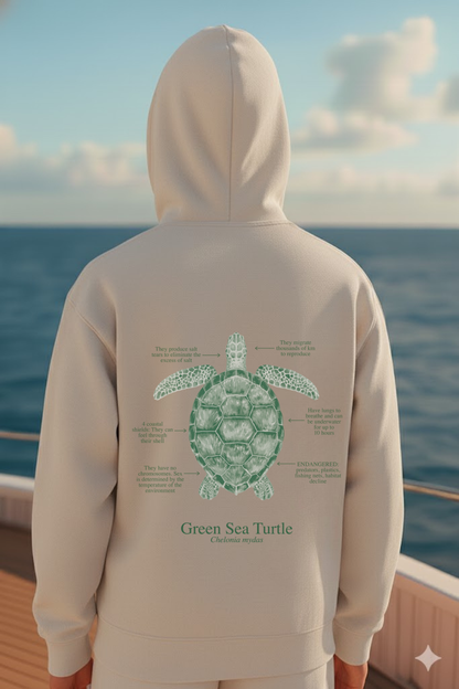 Hoodie (NEW) Tortuga colores claros