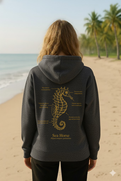 Hoodie (NEW) Caballito