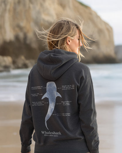 Tiburón Ballena Hoodie (NEW) Colores oscuros