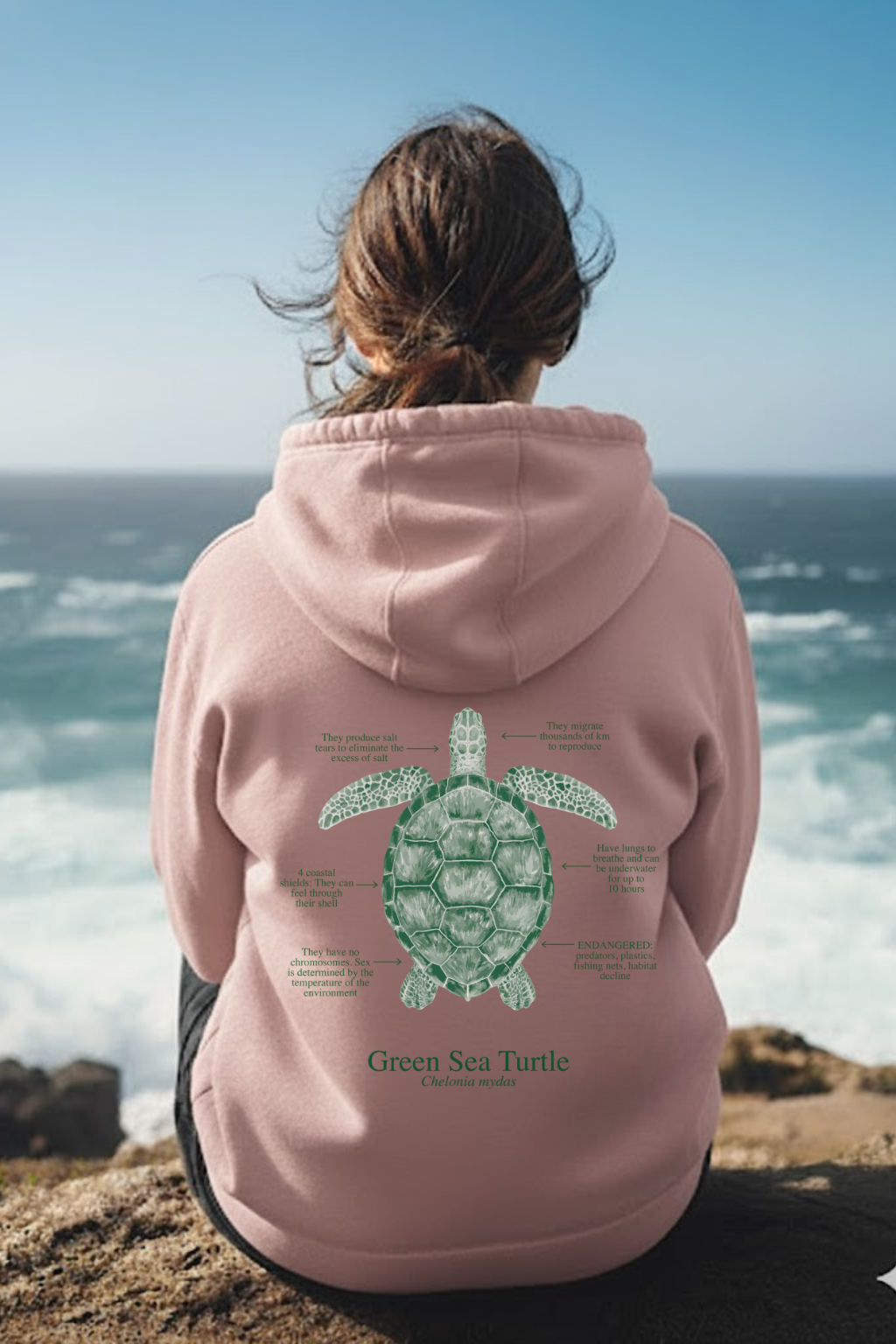 Hoodie (NEW) Tortuga colores claros