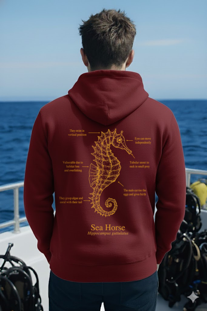 Hoodie (NEW) Caballito