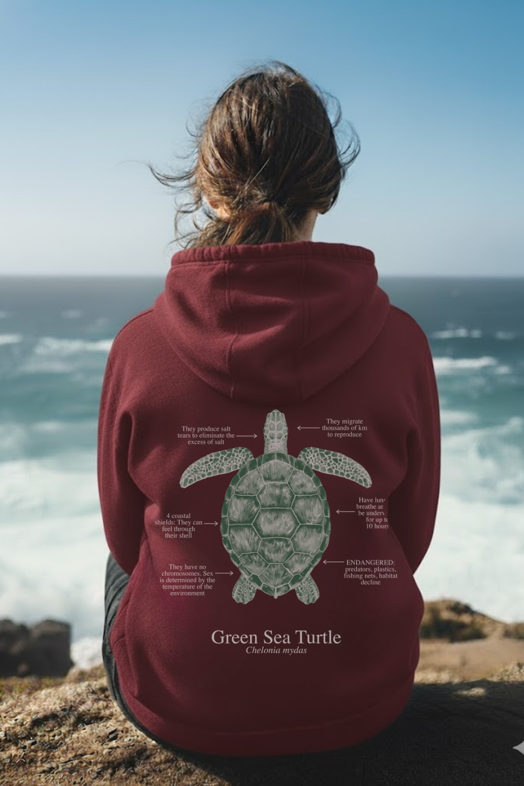 Hoodie (NEW) Tortuga colores oscuros