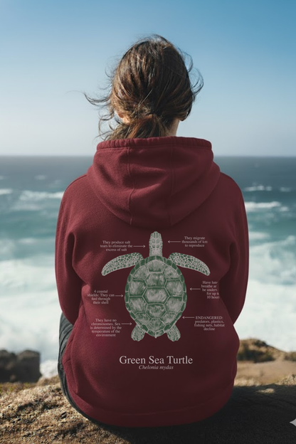 Hoodie (NEW) Tortuga colores oscuros