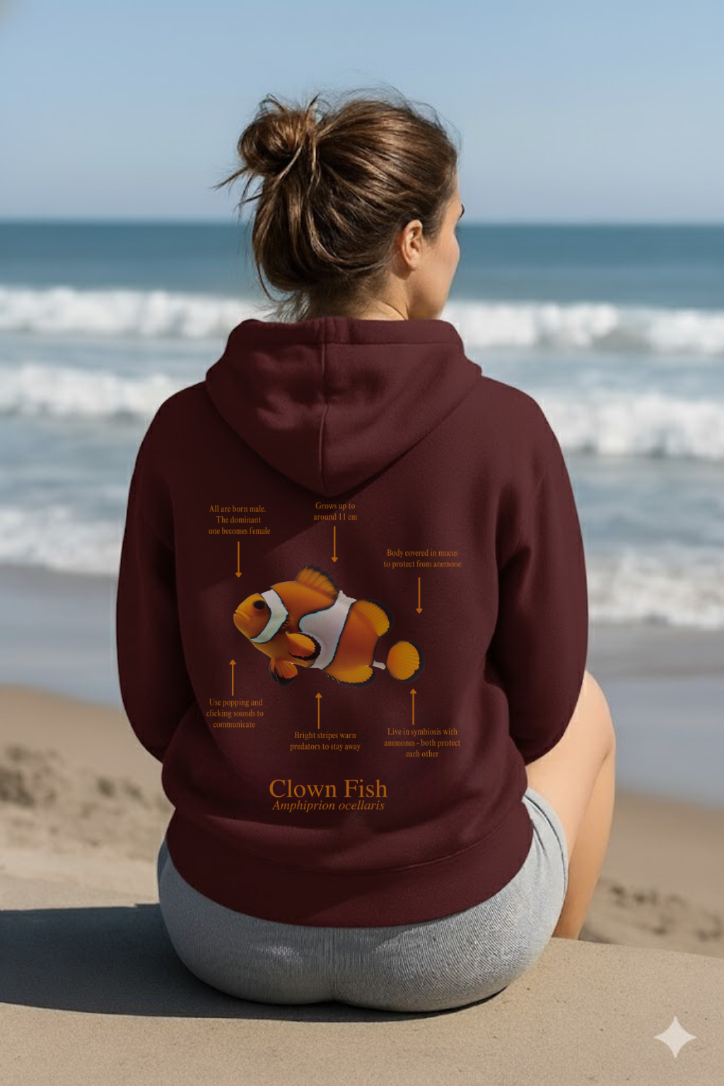 Hoodie (NEW) Pez payaso